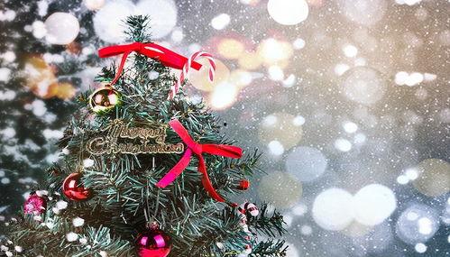 圣诞节过后,回顾与展望