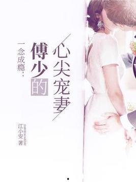 在傅总心尖撒野,浪漫邂逅与甜蜜爱情的完美交响