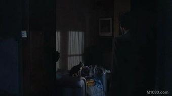 惊狂记,揭秘疯狂世界的真实面纱