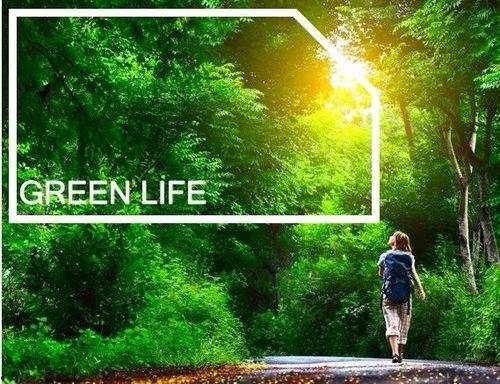 生活伊始,探寻生命最初的奇迹